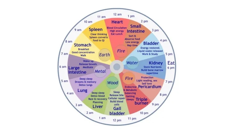 Feeding Schedule for Your Child